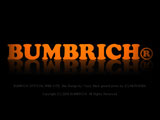 09_3_23_bumbricklogo