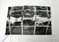 09_4_14_curb1_21 09_4_14_curb1_21