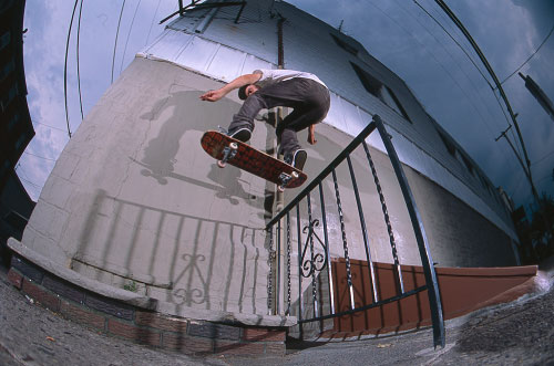 110202Frankie-photo-ollie