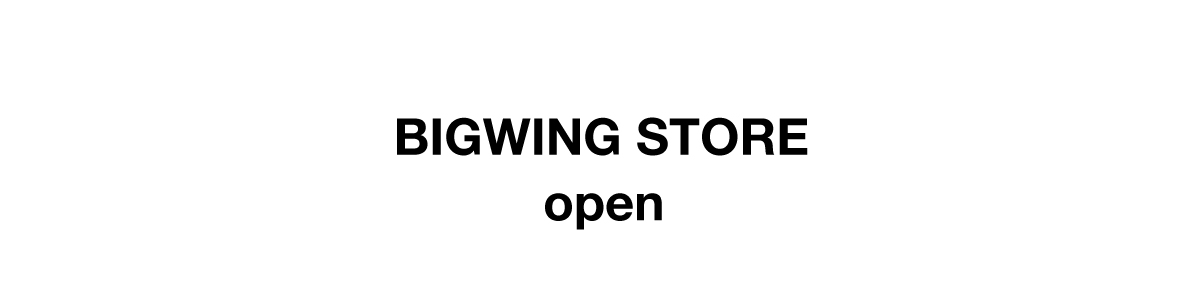 BIGWING STORE